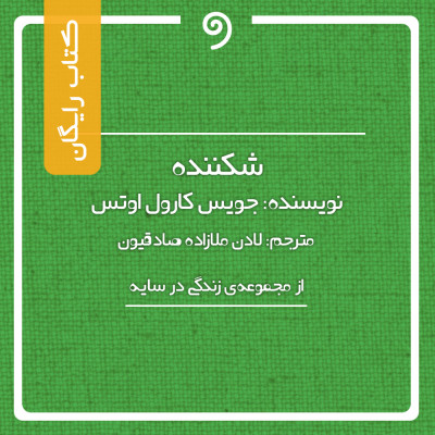 شکننده (از مجموعه‌ی زندگی در سایه)